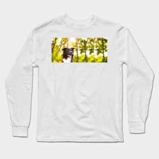 Border Collie Nature Portrait Long Sleeve T-Shirt